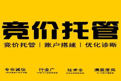 SEM竞价代运营实战技巧与案例